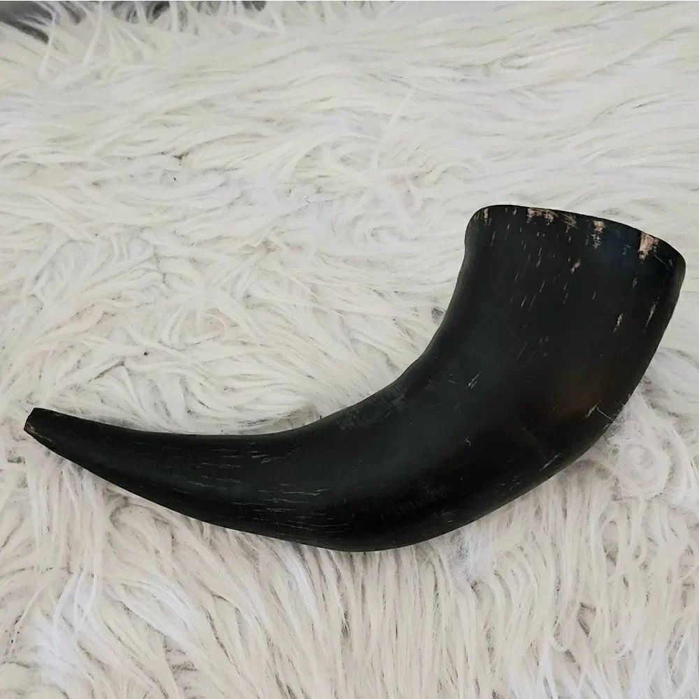 Antique animal horn unfinished opening does not go all the way through horn